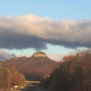 Meet your Posher, Suzee